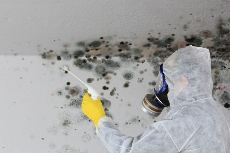 Read more about the article How To Get Rid Of Mould Before Retrofitting
